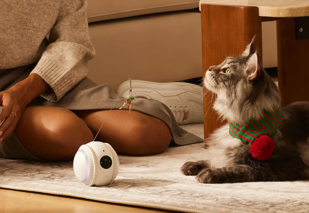 what is the best pet camera
